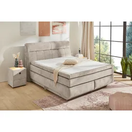 Jockenhöfer Boxspringbett "Queen, inklusive Strauraum/Bettkasten", beige (beige, grau 460, 29), B:195cm L:230cm, Bezug Bett: Chenille (100% Polyester);Topper und Matratzenspiegel: 100% Polyester, Komplettbetten, Boxspringbett, 7-Zonen-TTFK-Matratze, KS-Topper,