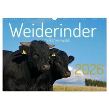 Calvendo Weiderinder im Frankenwald (Wandkalender 2026 DIN A3 quer), CALVENDO Monatskalender: Momentaufnahmen und Porträts von Rindern auf der Weide (CALVENDO Tiere)