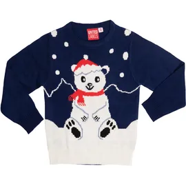 UNITED LABELS Winterpullover - Jungen Gr.: 122/128