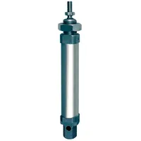 Riegler Rundzylinder, doppeltwirkend, Magnet, Kol.-Ã ̃16, o.D., Hub 100,