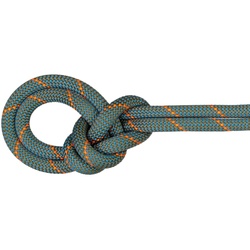 Mammut 9.9 Crag Workhorse Dry Rope - Kletterseil - boa-ocean - dry standard