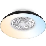 Briloner LED Deckenventilator 60 cm Schwarz