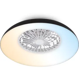 Briloner LED Deckenventilator 60 cm Schwarz