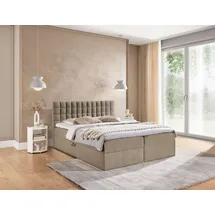 Fun Möbel Boxspringbett Schlafzimmerbett TORIBO PREMIUM 160x220cm Stoff Coral Dunkelbeige