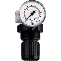 Riegler Druckregler »Standard-mini« inkl. Mano, BG 0, G 1/4,