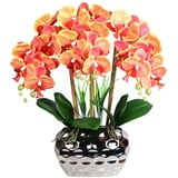 EIOLWJIEO Künstlicher Orchideen Bonsai mit Vase, realistische Phalaenopsis Kunstpflanzen, Orchideen Arrangements, Tischdekoration, Zuhause, Orange