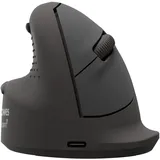 Fellowes Breyta Plus+ schwarz