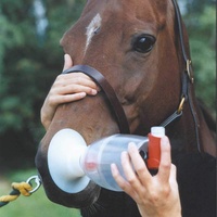 Equine Haler Puff-Inhaliergerät