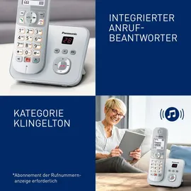 Panasonic KX-TG6861GS perl-Silber