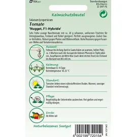 Samen Pfann Mini-Pflaumentomate Nugget F1 | Snacktomatensamen von Samen Pfann