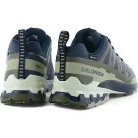 Salomon XA Pro 3D V9 GTX Herren India Ink/Olive Night/Aloe Wash 46