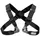 Petzl Voltige Klettergurt Schwarz