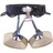 Petzl Corax LT Klettergurt Grau