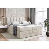 altdecor Boxspringbett mit 2 Matratzen und Topper - 180x200 cm - BOXI1 KING - Taupe Samt - Polsterbett mit, H3- und H4- Matratzen, Bettkasten und L... - Creme
