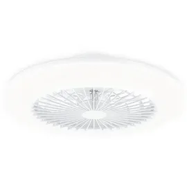 Philips Amigo Deckenventilator mit Beleuchtung 58 cm 25+60 W Weiß glänzend