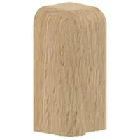 GGK 13887 Endstück links SL 20x50-buche, Kunststoff buche