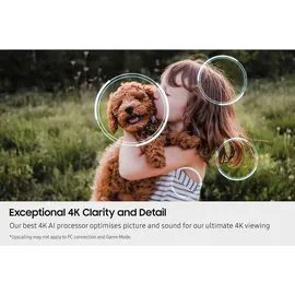 Samsung QE42S90F 42" OLED 4K Vision AI Smart TV S90F (EU-Modell)