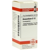 DHU-ARZNEIMITTEL ANACARDIUM D12