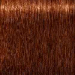 Indola PCC Permanente Haarfarbe Intensive Deckkraft 5.6+ Hellbraun Rot 60 ml