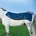 Horseware Turnout 145cm