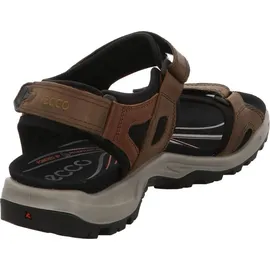 ECCO Offroad Herren espresso/cocoa 48