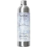 WE ARE PARADOXX Detox Clarifying Shampoo 250 ml