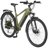 Prophete Stack 2.0 29 Zoll RH 29 cm grün