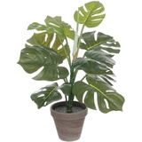 MICA Decorations Monstera Kunstpflanze in Blumentopf - H48 x Ø39 cm - Grün