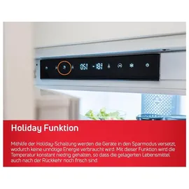 Amica VKS 358 150 E Kühlschrank (370 l, 1855 mm hoch, Edelstahl)