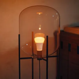 Philips Hue White Ambiance E27 1100 lm 75 W
