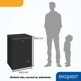 Exquisit Gefriertruhe, Kombigerät, 2-in-1, 99 Liter, Tiefkühltruhe, Kühlen, 4-Sterne-Gefrieren, Gefriertruhe klein, Gefrierkorb, GT100-050E schwarz