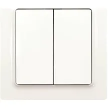 Eltako Taster F4T55E-pg
