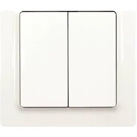 Eltako Taster F4T55E-pg