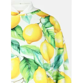 salzhaut Hoodie BARCH Mehrfarbig XXL