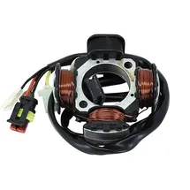 P2R Zündungsstator für Moto Beta 50 RR 2005 bis 2012