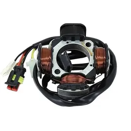 P2R Zündungsstator für Moto Beta 50 RR 2005 bis 2012