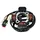 P2R Zündungsstator für Moto Beta 50 RR 2005 bis 2012