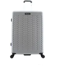 DISCOVERY Koffer REPTILE silber