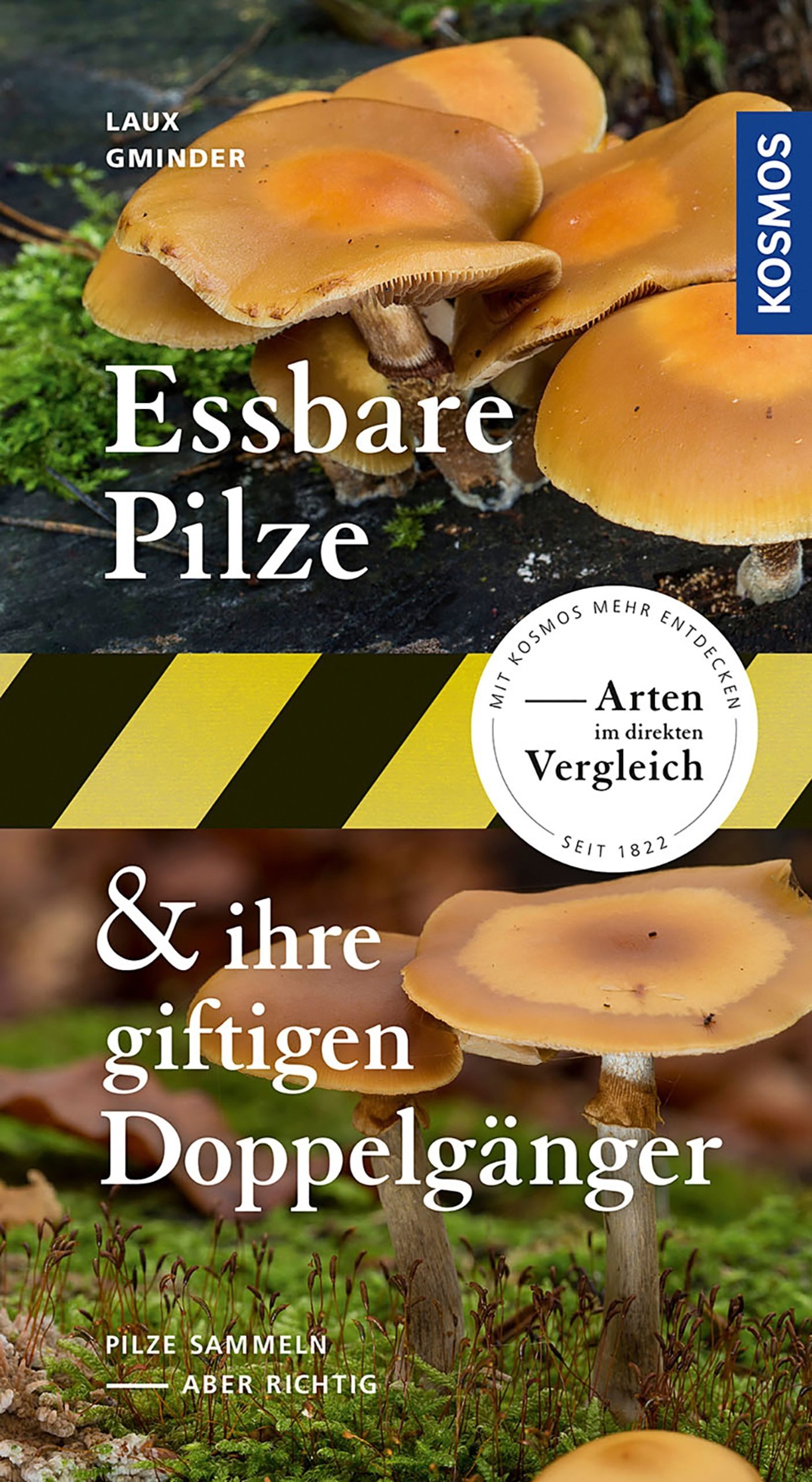 Essbare Pilze & ihre giftigen Doppelgänger