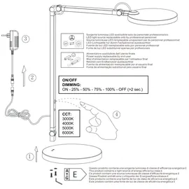 Fabas Luce Regina Weiß
