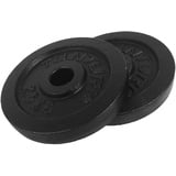 Tunturi Iron Discs Hantelscheibe 2.5kg