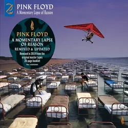 A Momentary Lapse Of Reason (2019 Remix) Softpak