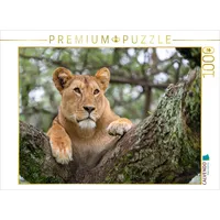 Calvendo Puzzle Löwin am Lake Ndutu, Tansania 1000 Teile Lege-Größe 64x48cm Foto-Puzzle für glückliche Stunden