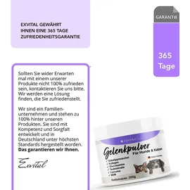 Exvital TierPlus Gelenkpulver für Hunde & Katzen mit Grünlippmuschel, MSM, Kollagen 200 g