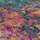 Flair Rugs Läufer FLAIR RUGS "Abstraction", bunt (multi), B:66cm H:10mm L:230cm, Kunstfaser, Teppiche, Läufer, Vintage Design, mehrfarbig, bunt, Teppichläufer