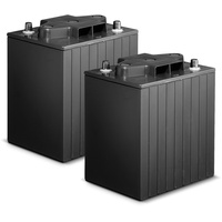 Kärcher Batteriesatz AGM 2x 12V/198Ah,
