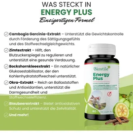 Biostile Energie Plus Stoffwechsel Kapseln 60 St.