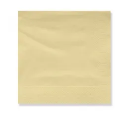 Karton 60 Stück. Papierservietten 20x20 2 Lagen – Farbe – Öko-Natur