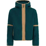 Protest Hoodie Blue 164