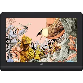 xppen Artist Pro 16 (2. Generation) + RC Grafiktablet - Schwarz/Grau